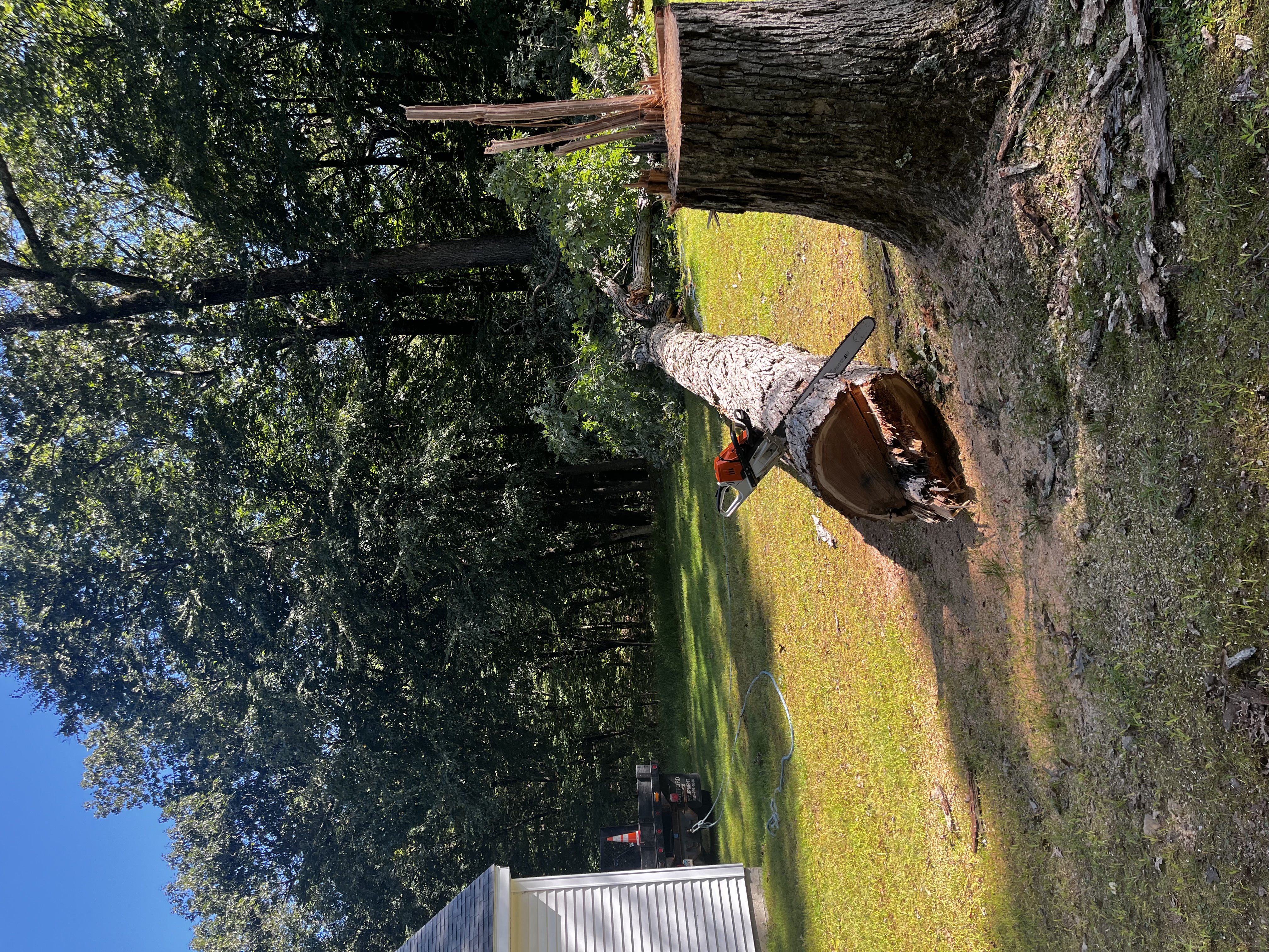Landscaping work