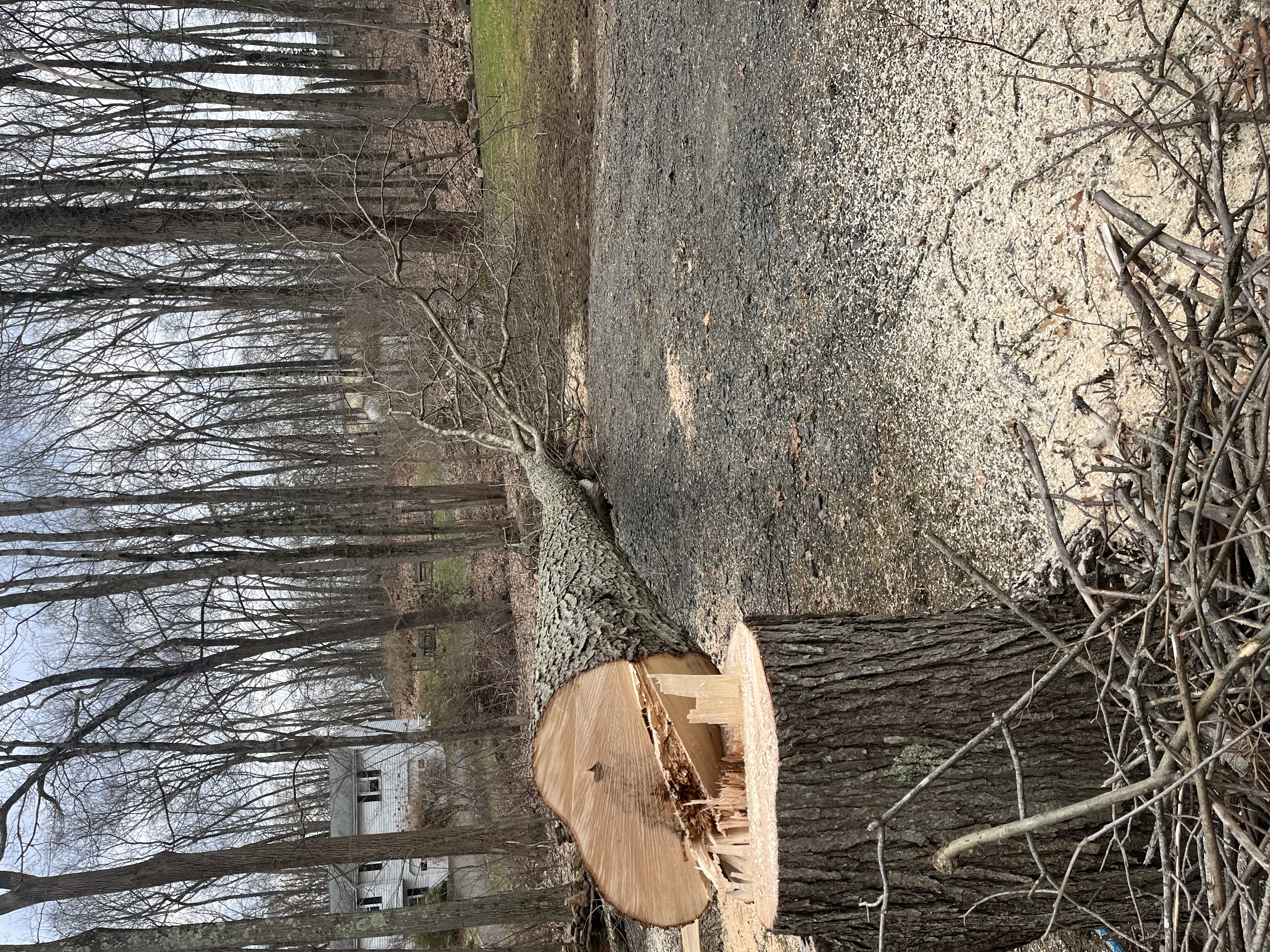 Landscaping work