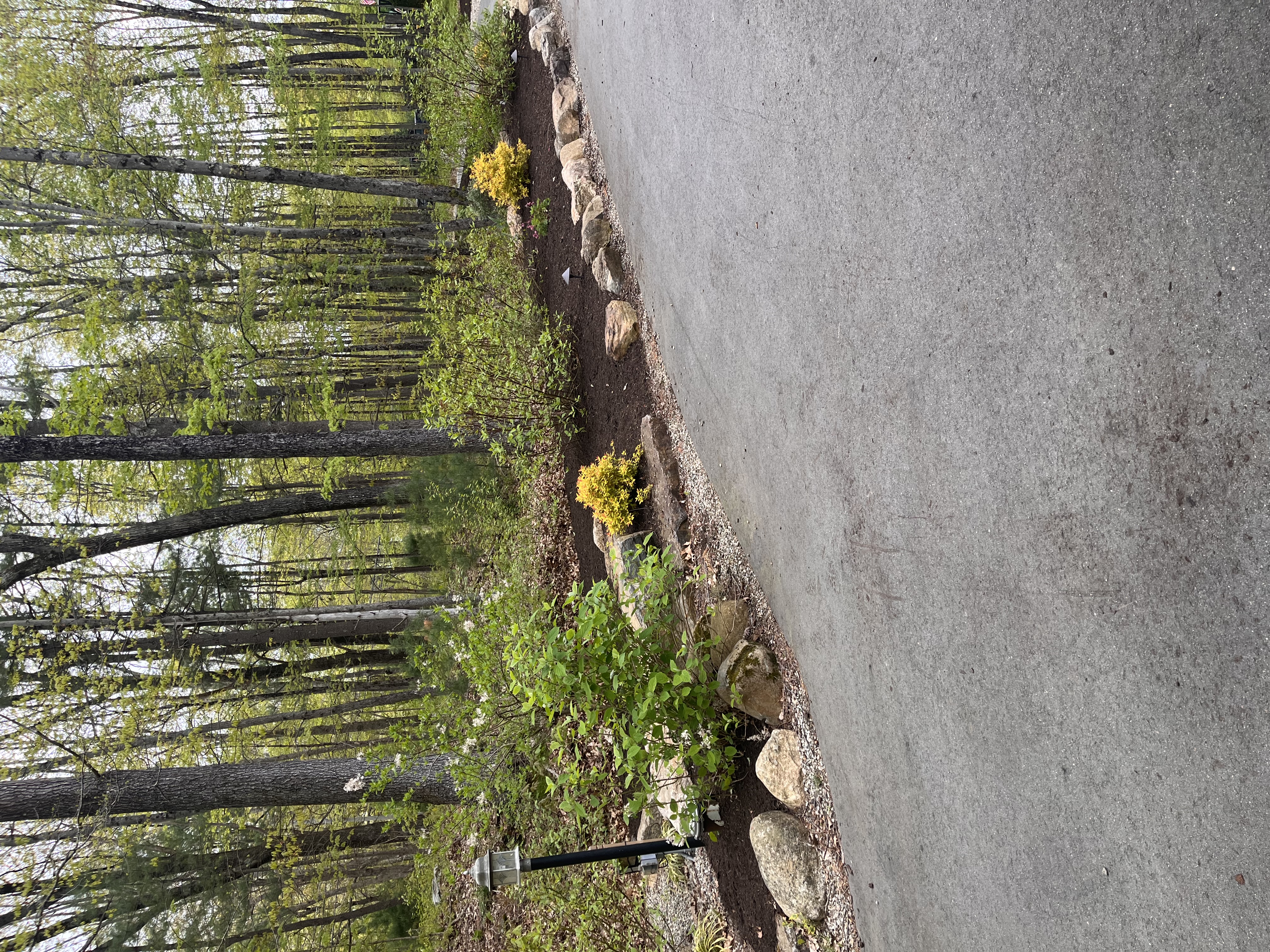 Landscaping work