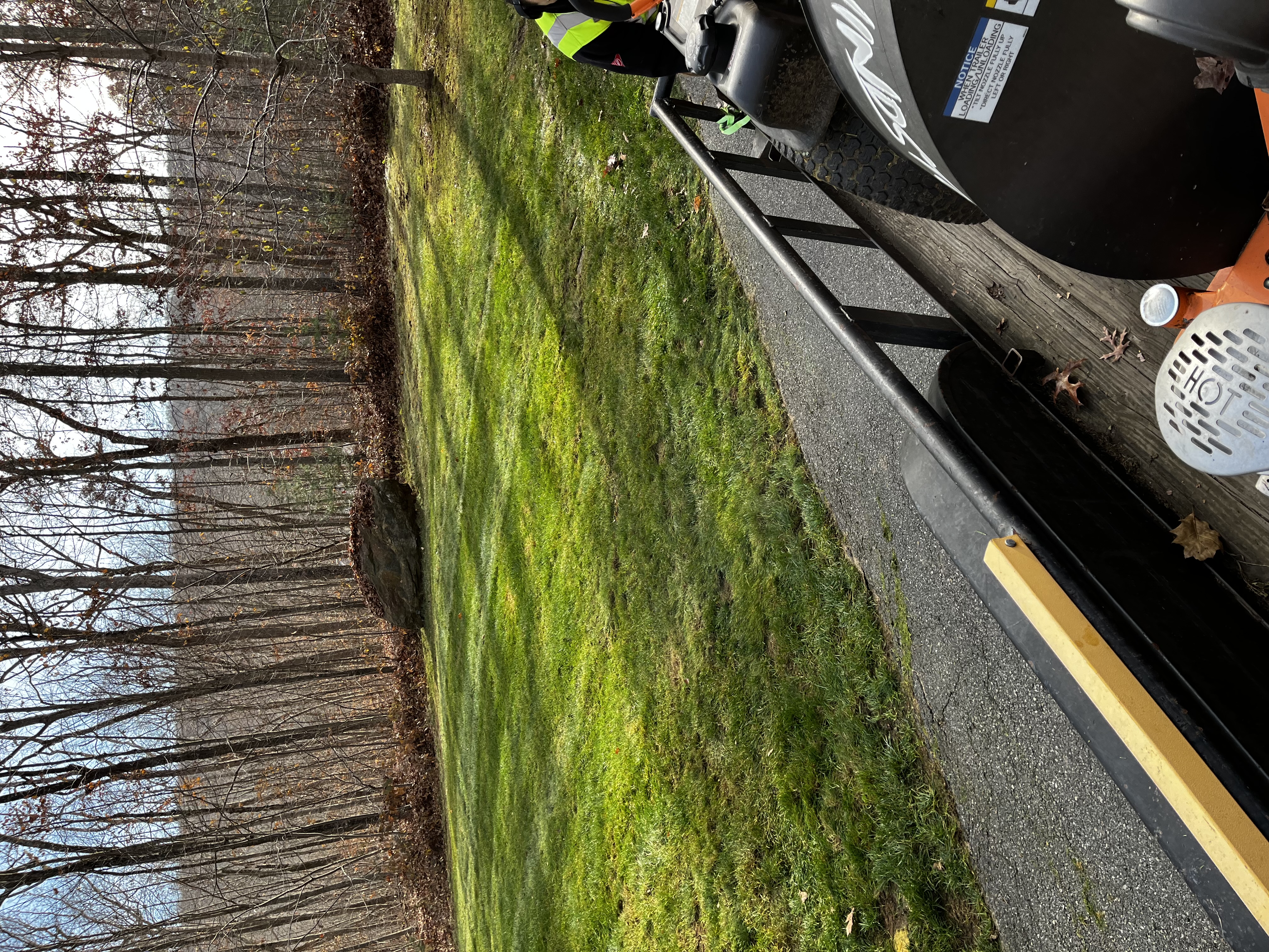 Landscaping work